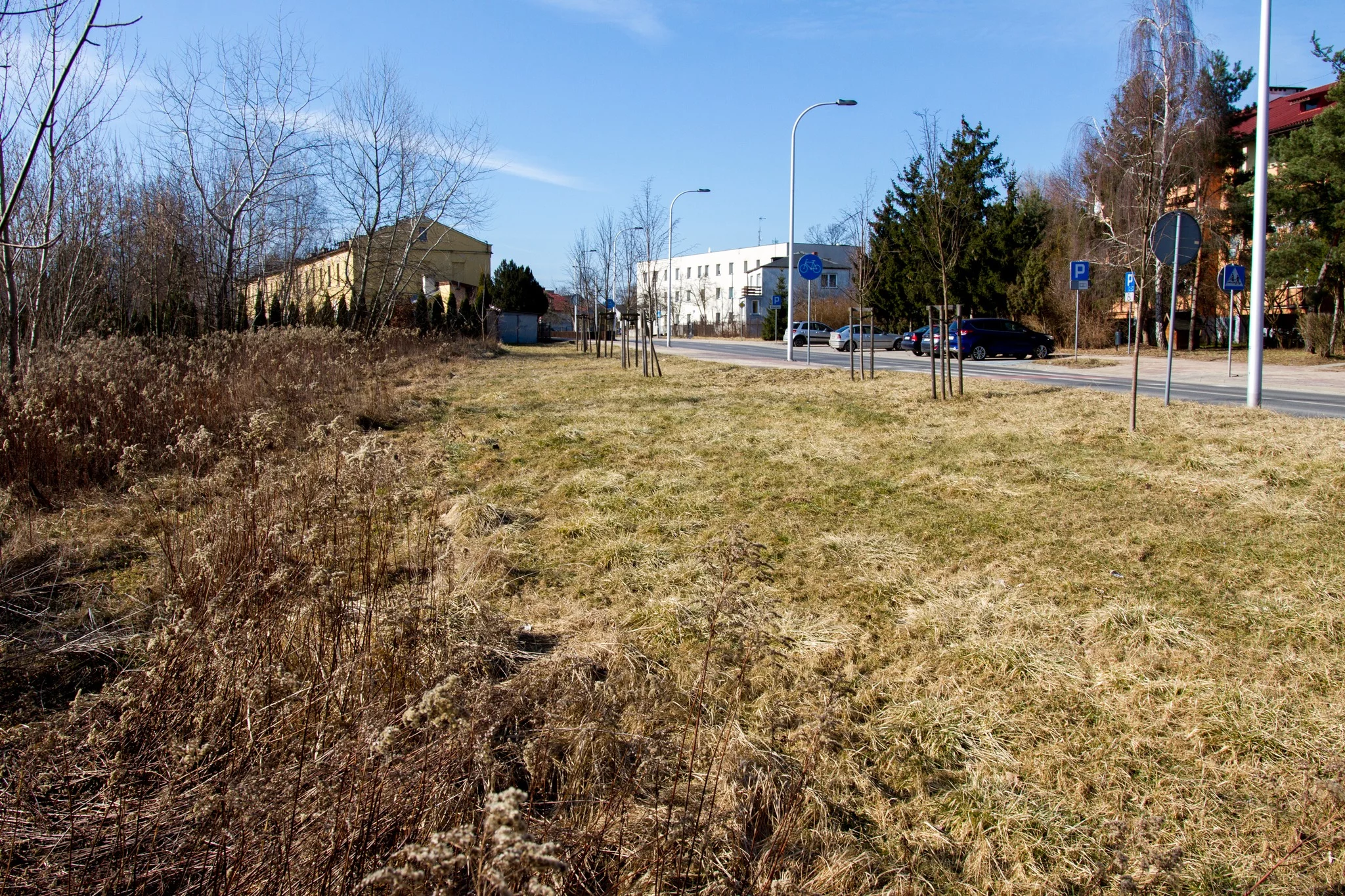 To inwestycja w miejską zieleń. Trwa procedura przetargowa