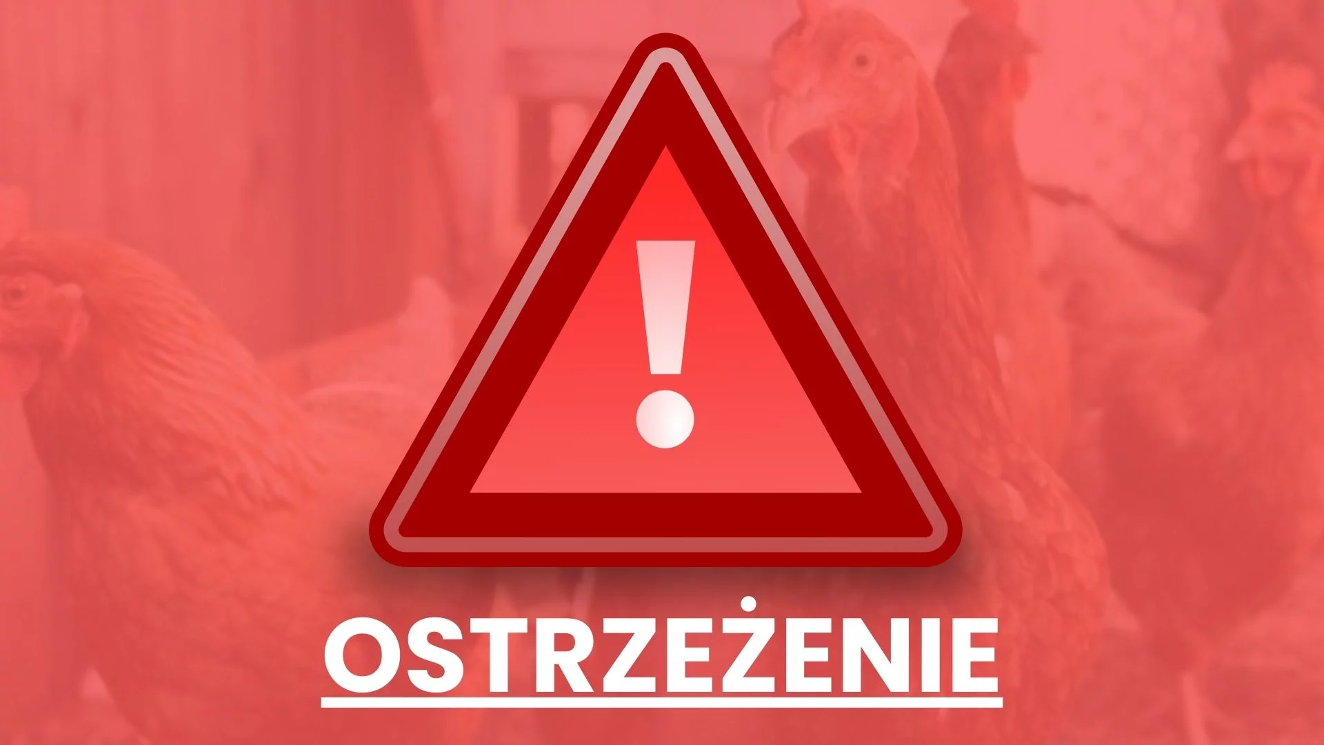 "Strefa objęta zakażeniem" na płockim osiedlu. Jest rozporządzenie i nakazy dla mieszkańców