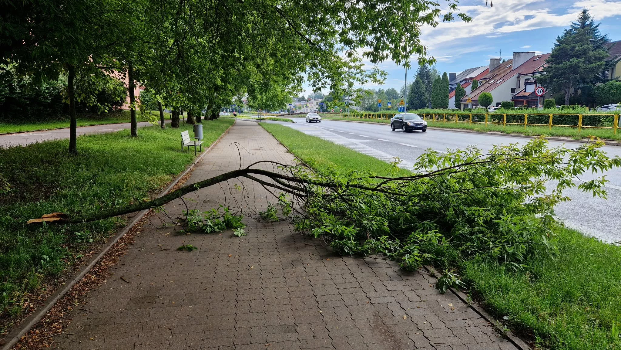 Powalone drzewa, zalane piwnice. Skutki burz w Płocku i powiecie