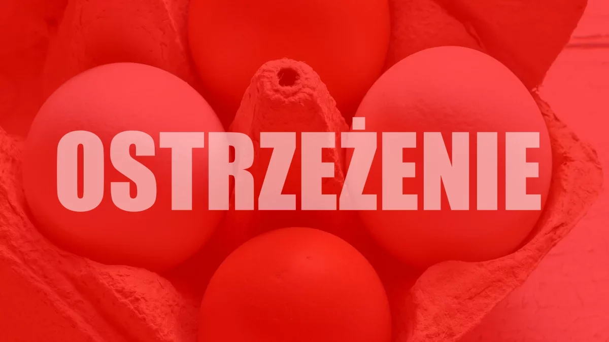 GIS alarmuje: Salmonella w jajach z popularnej fermy. Sprawdź, czy nie masz ich w lodówce