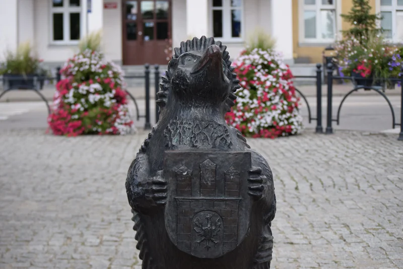 Obrazek do pytania - Skąd wziął się „zgierski jeż”?