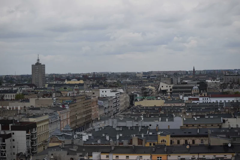 Obrazek do pytania - Co to są prażoki?
