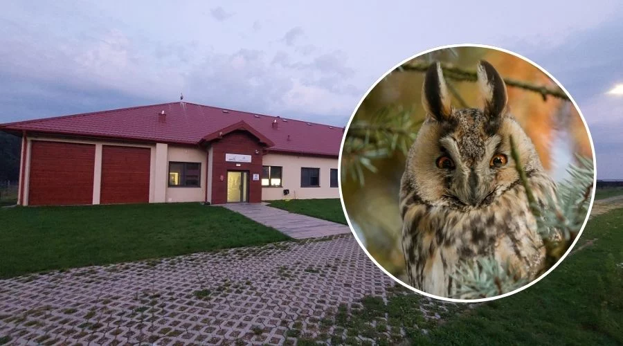 Sowa potrzebowała pomocy. Trafiła do specjalistów pod Piotrkowem