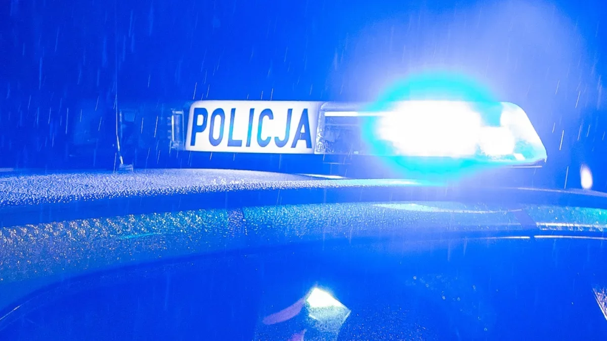 Wypadek na A1 w regionie. Samochód przebił bariery