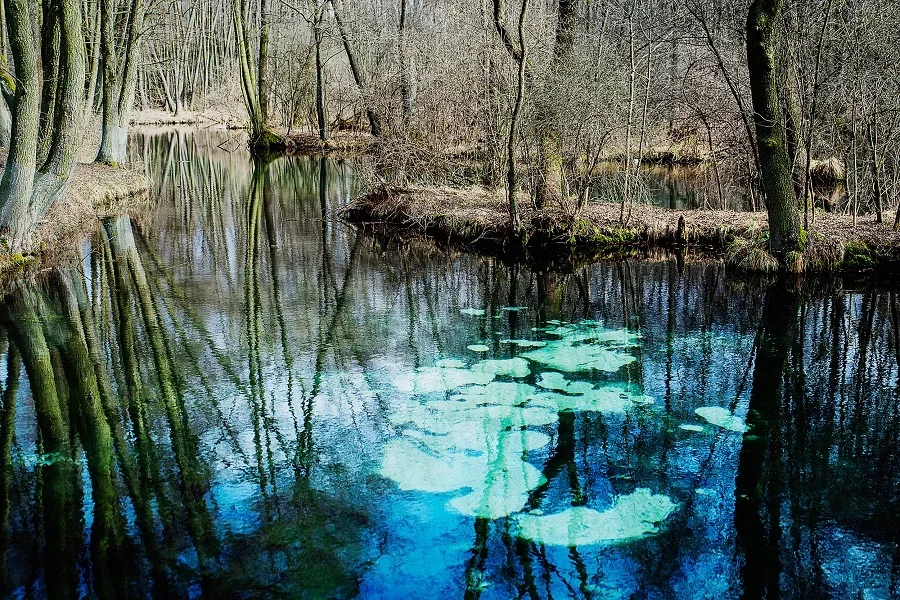 Przyrodnicza perła w województwie łódzkim. To tylko 30 minut od Piotrkowa [ZDJĘCIA]