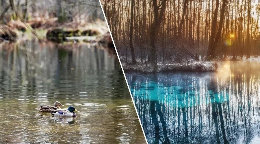 Pomysły na ferie zimowe w Łódzkiem. To tylko 30 km od Piotrkowa [ZDJĘCIA]