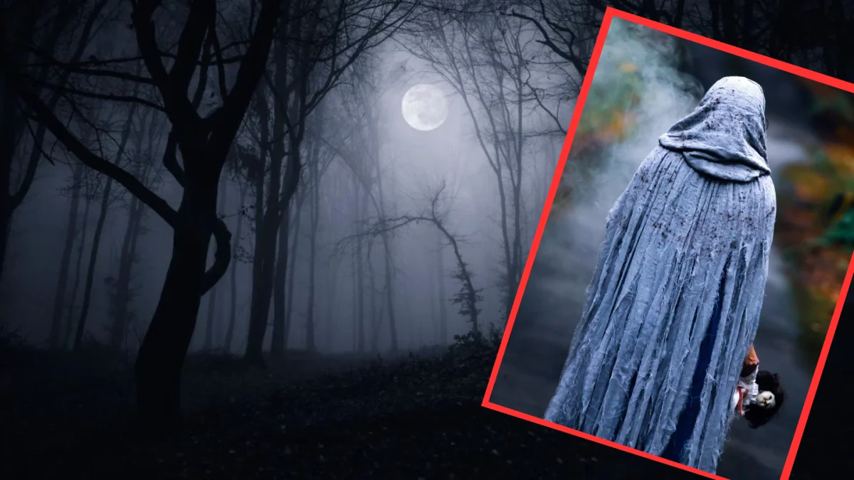 Klimat jak z Rodziny Addamsów. Popularny las w Łódzkiem zamieni się w scenerię horroru