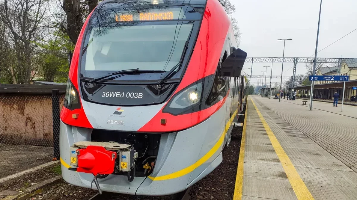Groty, muzea, aquapark... ze zniżką w Łódzkiem. Pasażerowie ŁKA mogą zaoszczędzić