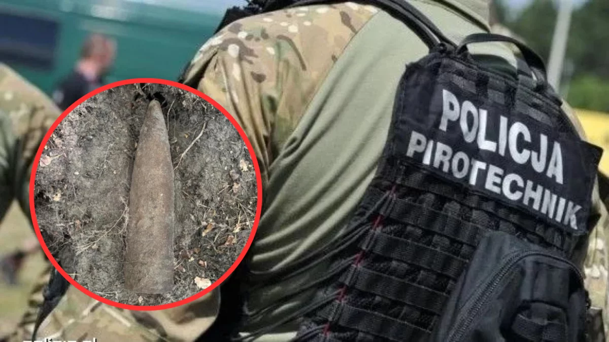 Niebezpieczne znalezisko podczas grzybobrania. Akcja saperów w woj. łódzkim