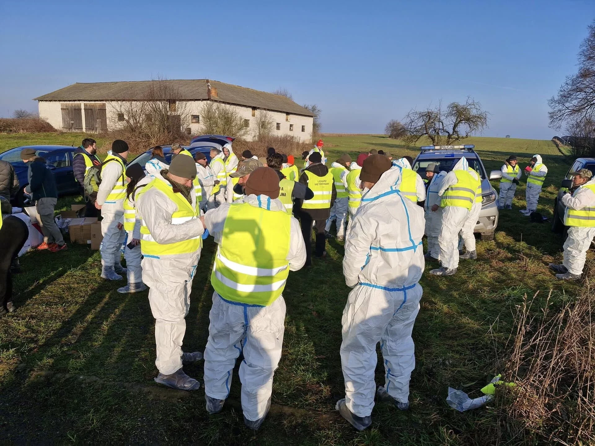 Przeszukano ponad 10 tysięcy hektarów. Wiadomo, ile padłych dzików znaleziono w powiecie piotrkowskim