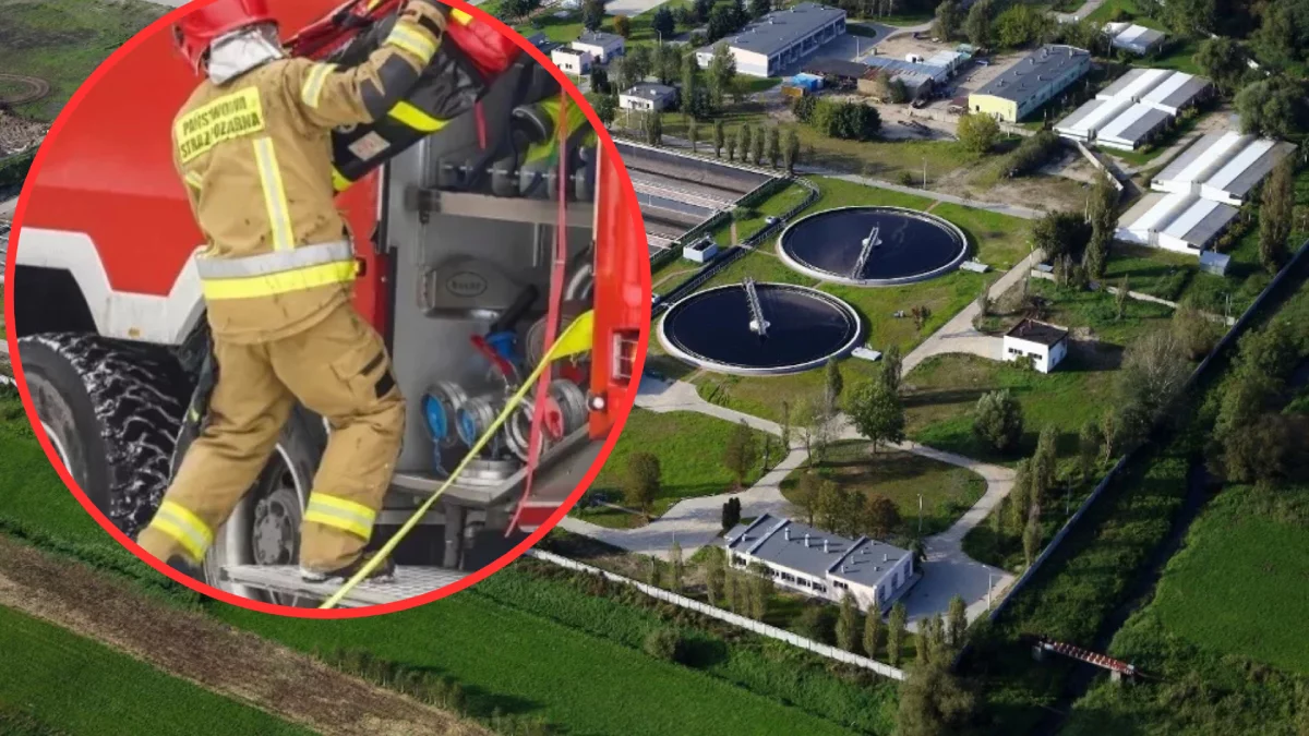 Pożar w Piotrkowie. Straty są ogromne, służby o przyczynach