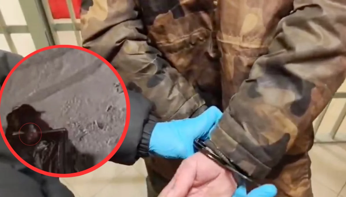 Piotrków: Mężczyzna wyrzucił do śmieci kocięta! Były zamknięte w siatce, przeżyło tylko jedno