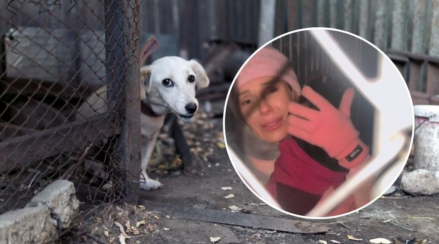 Doda nagłośniła sprawę „schronisk grozy”. Kontrole w całym kraju, jak jest w Piotrkowie?