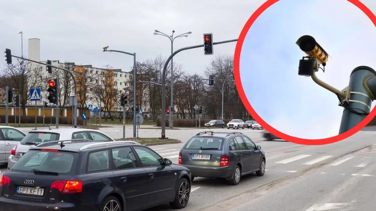 Co drugi kierowca musi zapłacić mandat. Prawie 700 tysięcy kar