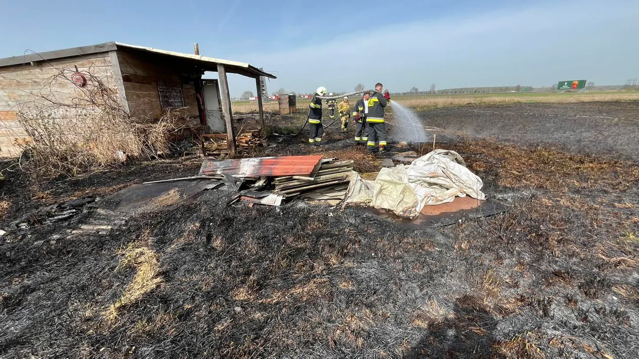 Pożar w powiecie piotrkowskim. Na miejscu 4 zastępy