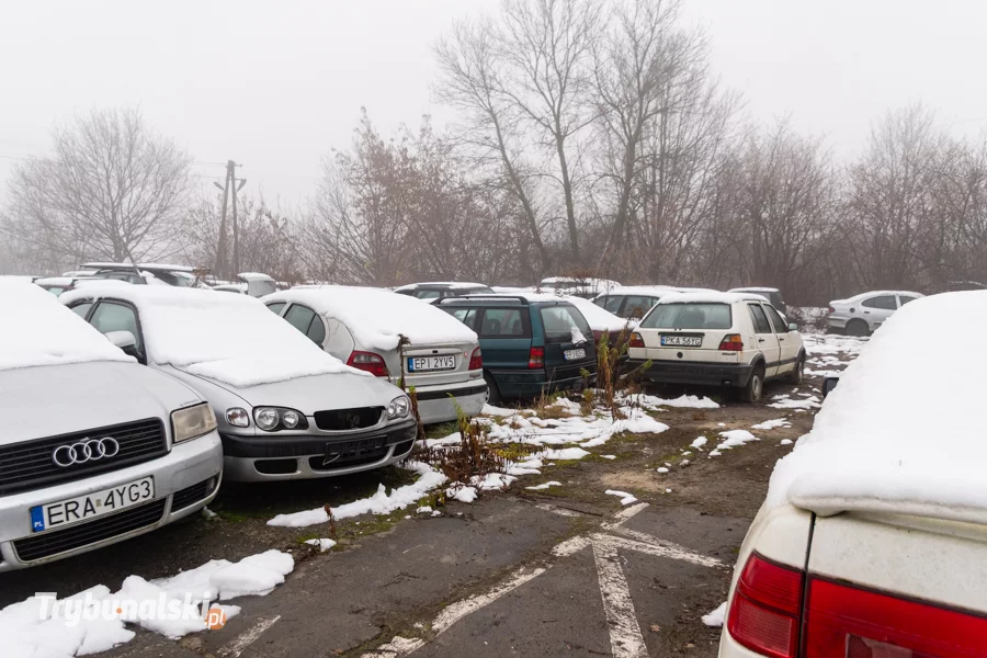 Wraki na parkingu przy MZK. Tutaj trafiają porzucone pojazdy z ulic Piotrkowa