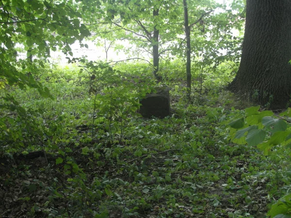 Zapomniany cmentarz ewangelicki Piotrków Meszcze. Zabytkowe nagrobki w leśnym kompleksie [ZDJĘCIA]