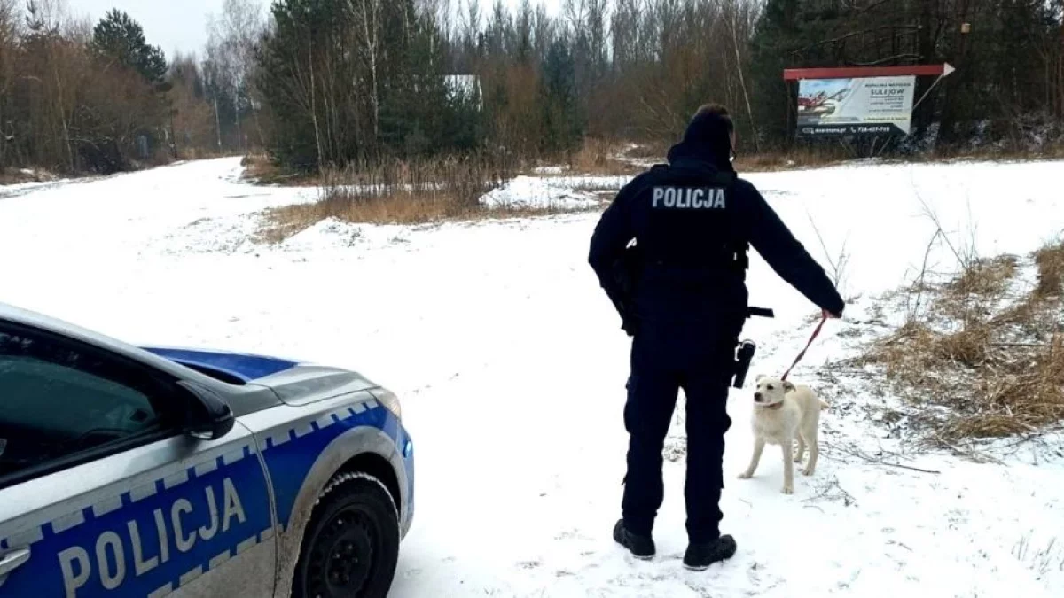 Pies błąkał się przy jezdni niedaleko Piotrkowa. Udało się zapobiec tragedii