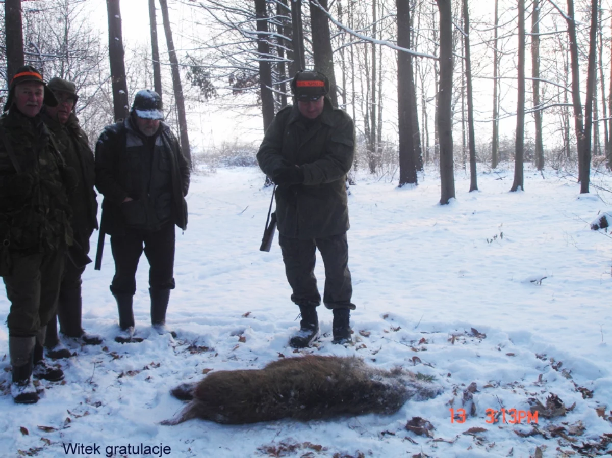 Te zwierzęta nie doczekają świąt. Zaplanowano polowanie na Wigilię