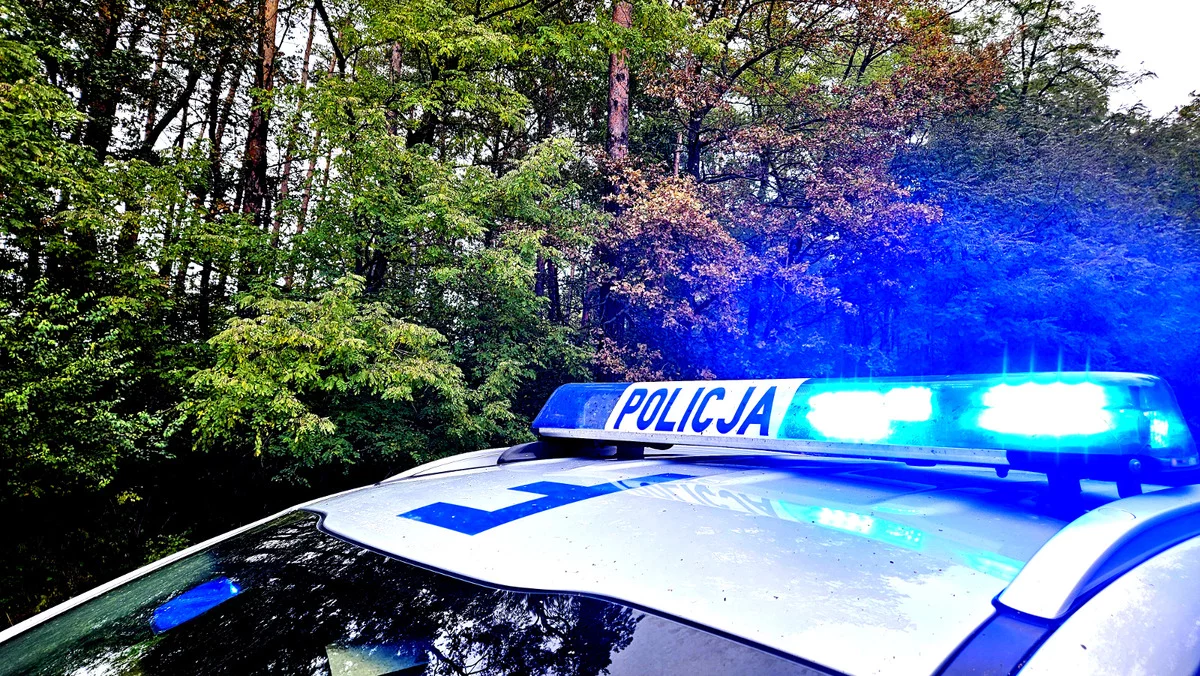 Wyprawa na grzyby może zakończyć się tragedią. Policja apeluje do mieszkańców