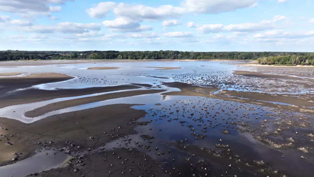 To centrum Polski a nie Amazonia. Film z drona pokazuje skale problemu