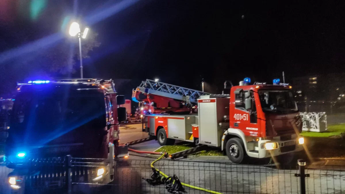Pożar w Piotrkowie Trybunalskim. Właściciel sam próbował walczyć z żywiołem, ewakuowano kilkanaście osób