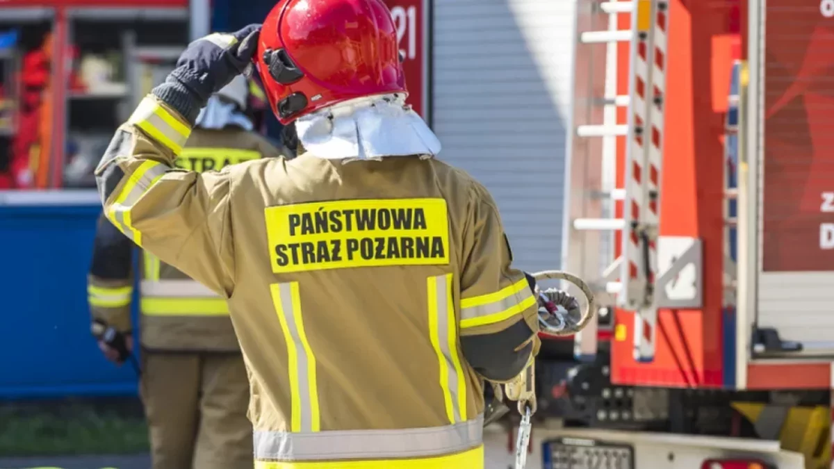 Dramat na placu zabaw w Piotrkowie. 6-latek trafił do Centrum Zdrowia Matki Polki