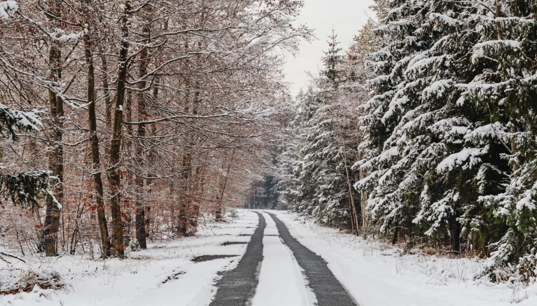 Czy w województwie łódzkim czekają nas białe święta? Pogoda może zaskoczyć