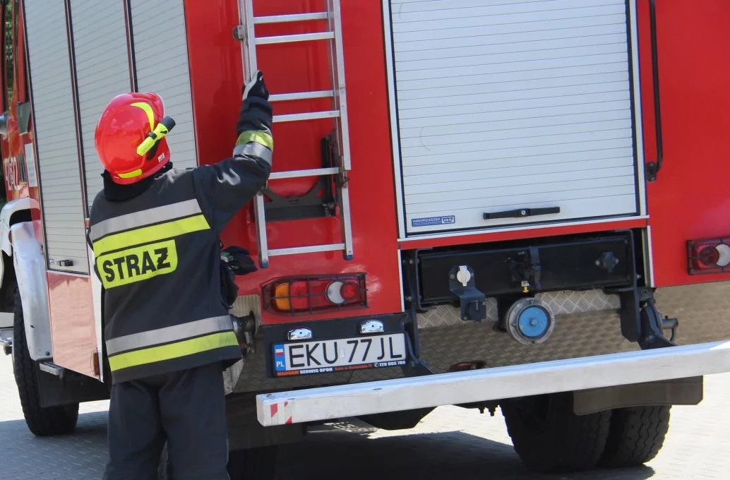 Pożar na Widzewie. Palił się... śmietnik