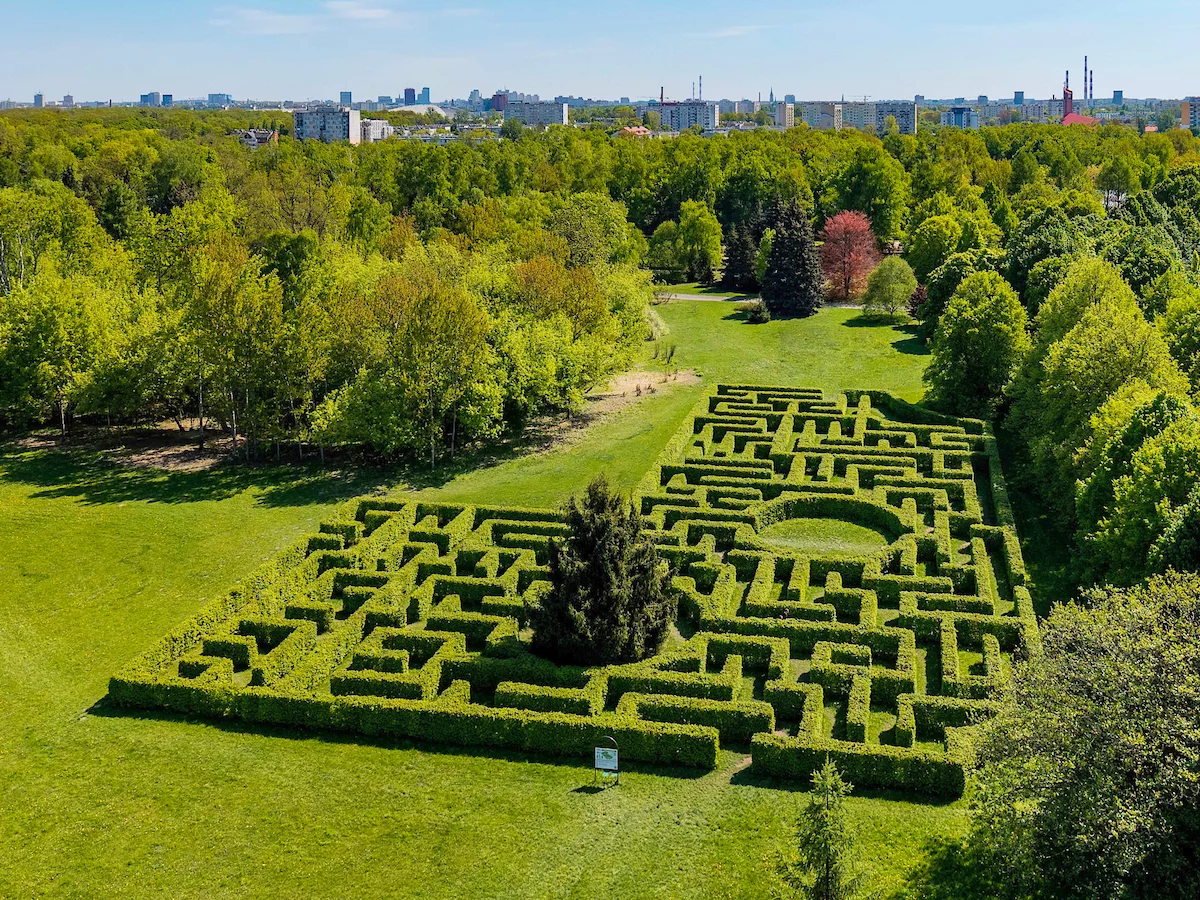 Zielone Serce Botanika oskarża Domaszewicza: „To manipulacja!”