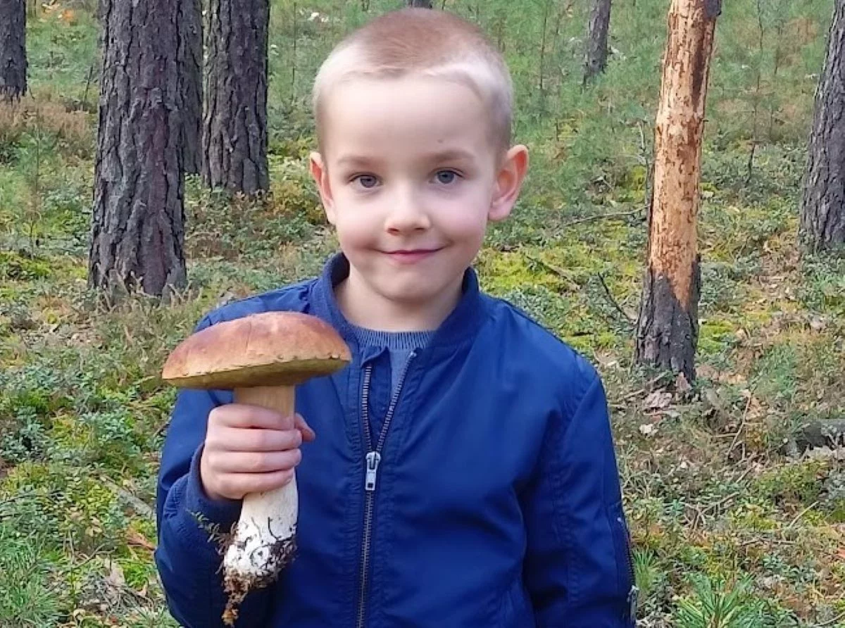 Gdzie na grzyby w woj. łódzkim? Grzybiarze pokazują pełne kosze