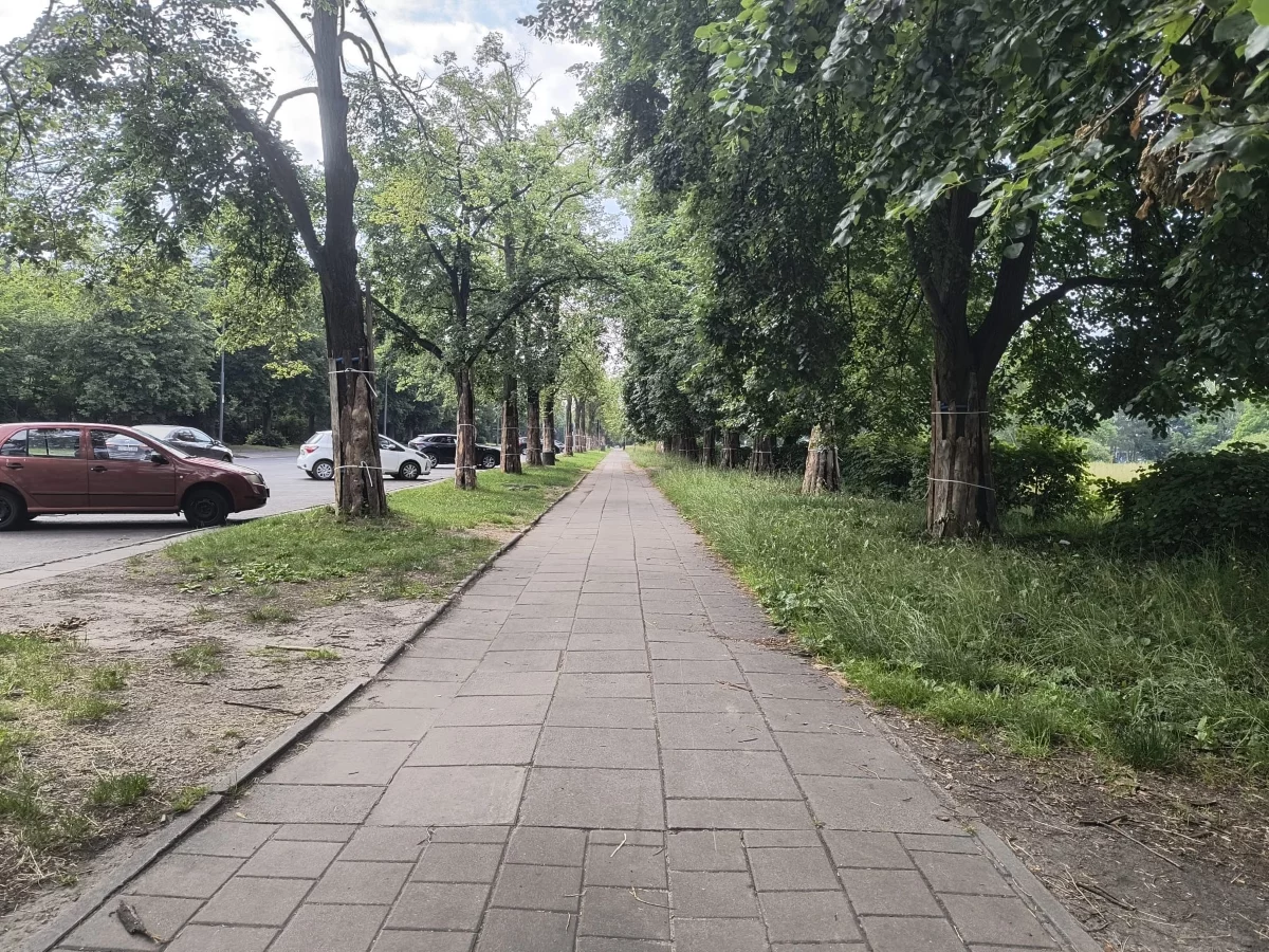 Rusza budowa nowej drogi rowerowej w Łodzi. Powstanie przy Parku na Zdrowie