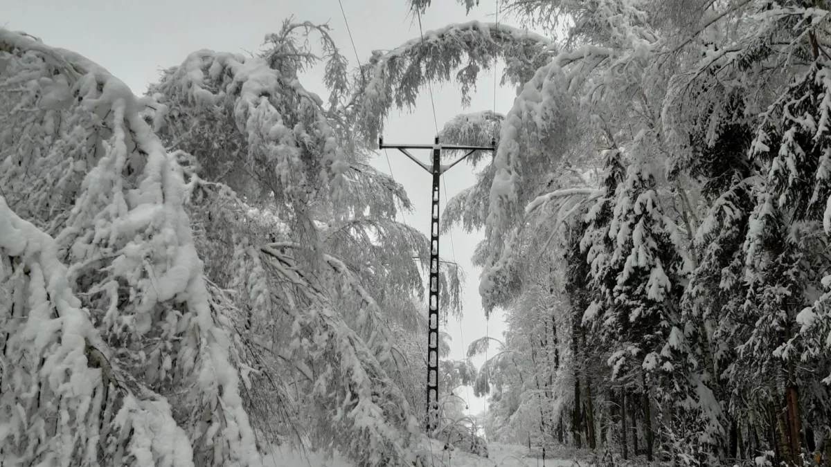 Masowe awarie sieci energetycznej. Tysiące ludzi bez prądu w Łódzkiem