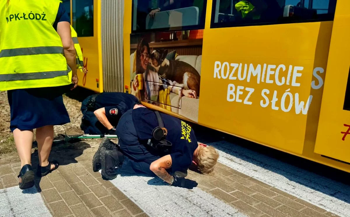 Niecodzienna akcja w łódzkim MPK. Mały kotek zatrzymał tramwaje i podbił serca pasażerów