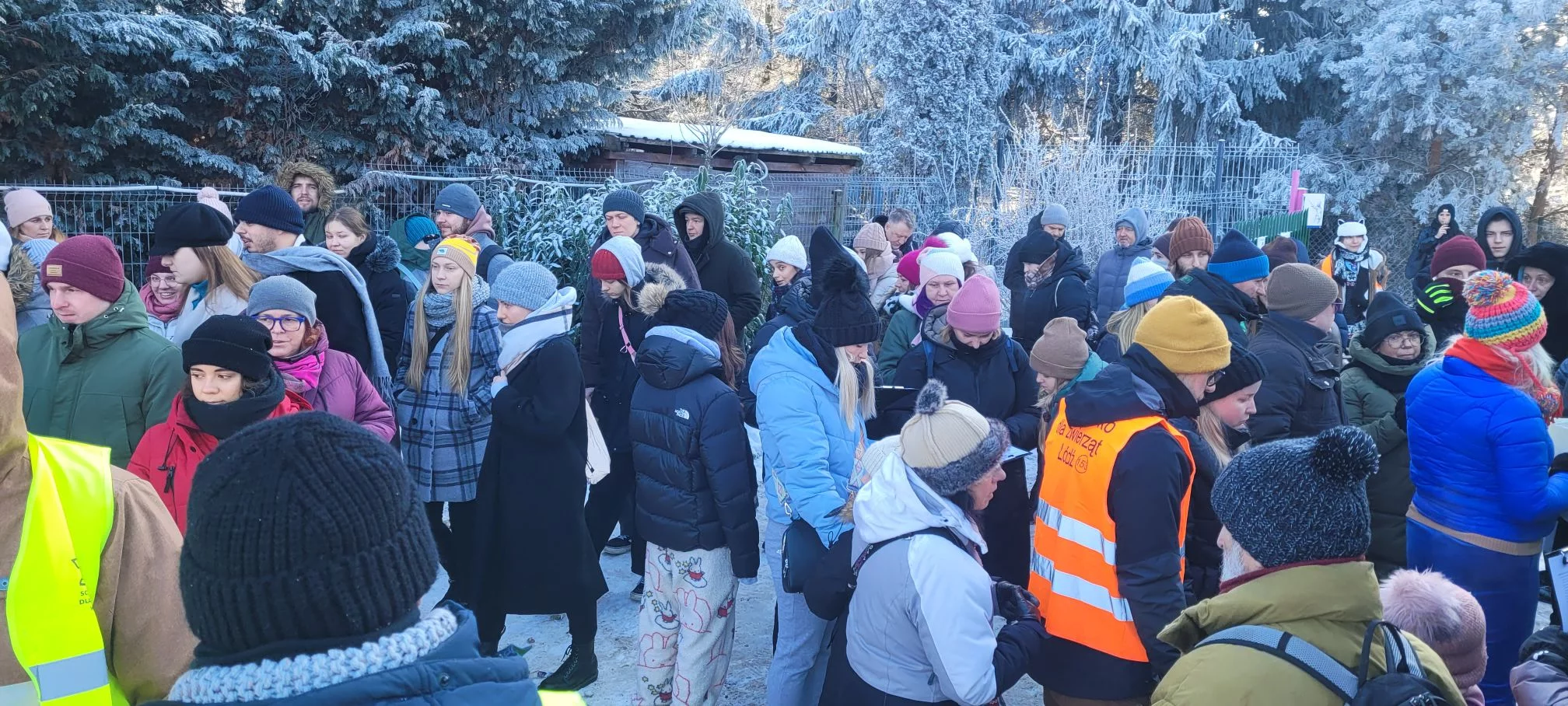 W łódzkim schronisku zabrakło psów do wyprowadzania! Sukces akcji #ROZGRZEJsŁODZIAKA