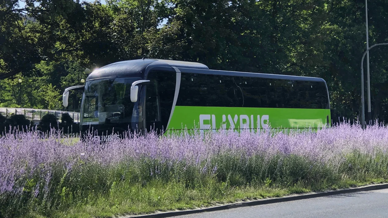 Atrakcyjne kierunki połączeń autobusowych z Łodzi. Gdzie dojedziemy nimi na wakacje?