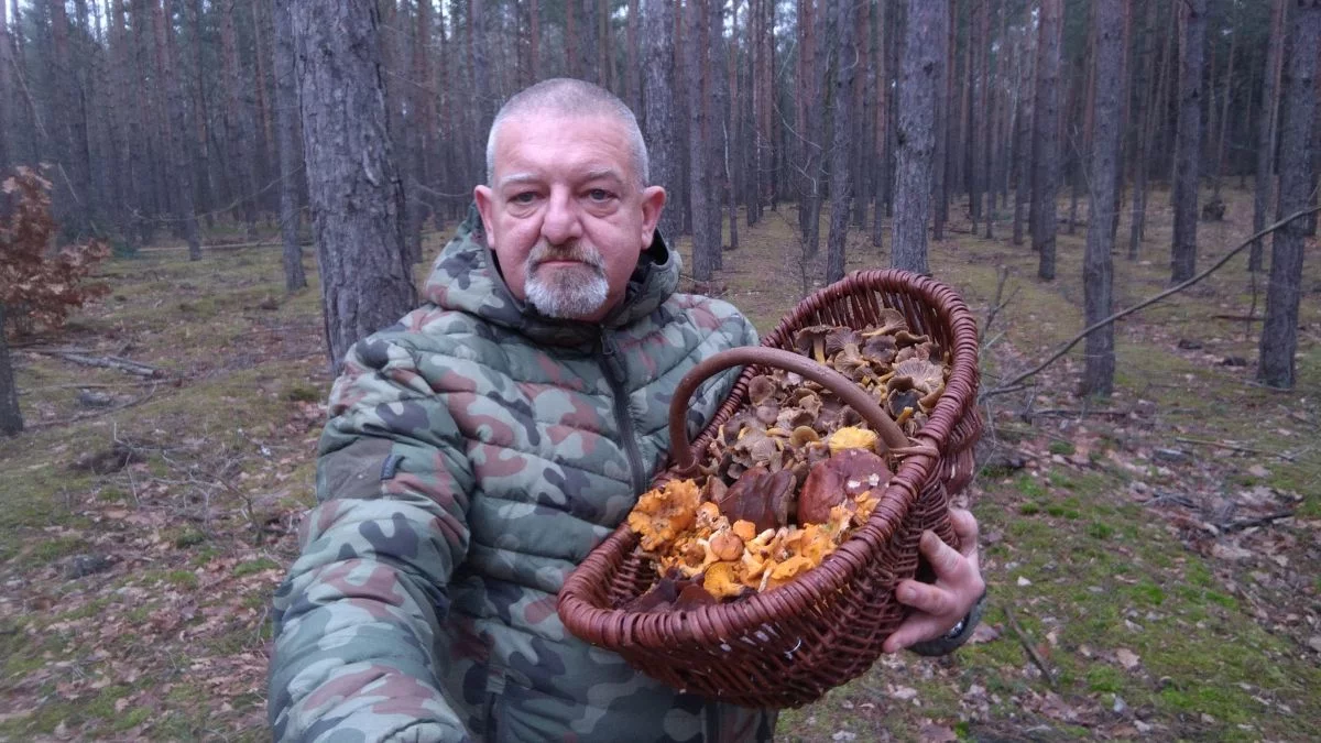 Pierwsze grzyby w Łódzkiem już są! Wiemy, gdzie je znaleziono i czy można je jeść