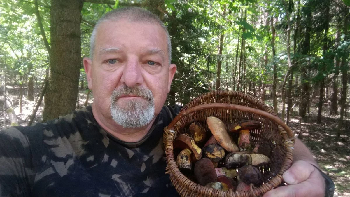 Już są! Pierwsze borowiki w woj. łódzkim. Grzybiarze zdradzają swoje miejscówki [FOTO]