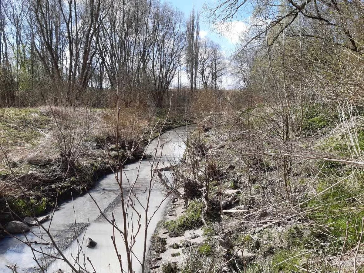 Są już wyniki badań. Czym zanieczyszczono łódzką rzekę?