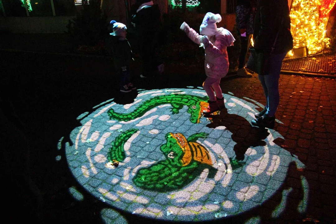 Miliony świateł w jednym miejscu, spektakl impro, morsowanie i święto kina. Co robić w Łodzi i okolicach w weekend 2-4 stycznia?