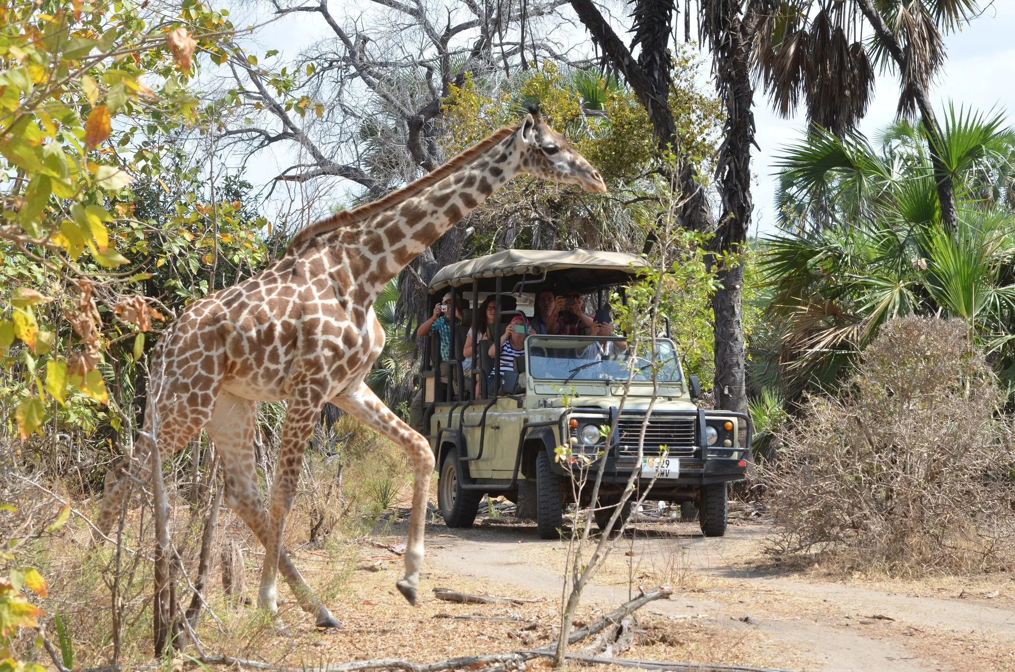 Spod Łodzi na... Zanzibar. A to wszystko przez przypadek!
