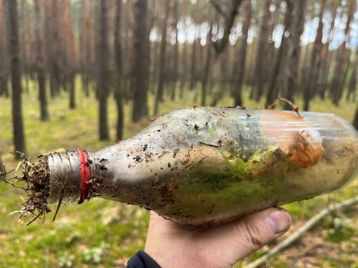 Niesamowite znalezisko w Łódzkiem. Grzyb wyrósł w… butelce! Jak to możliwe?