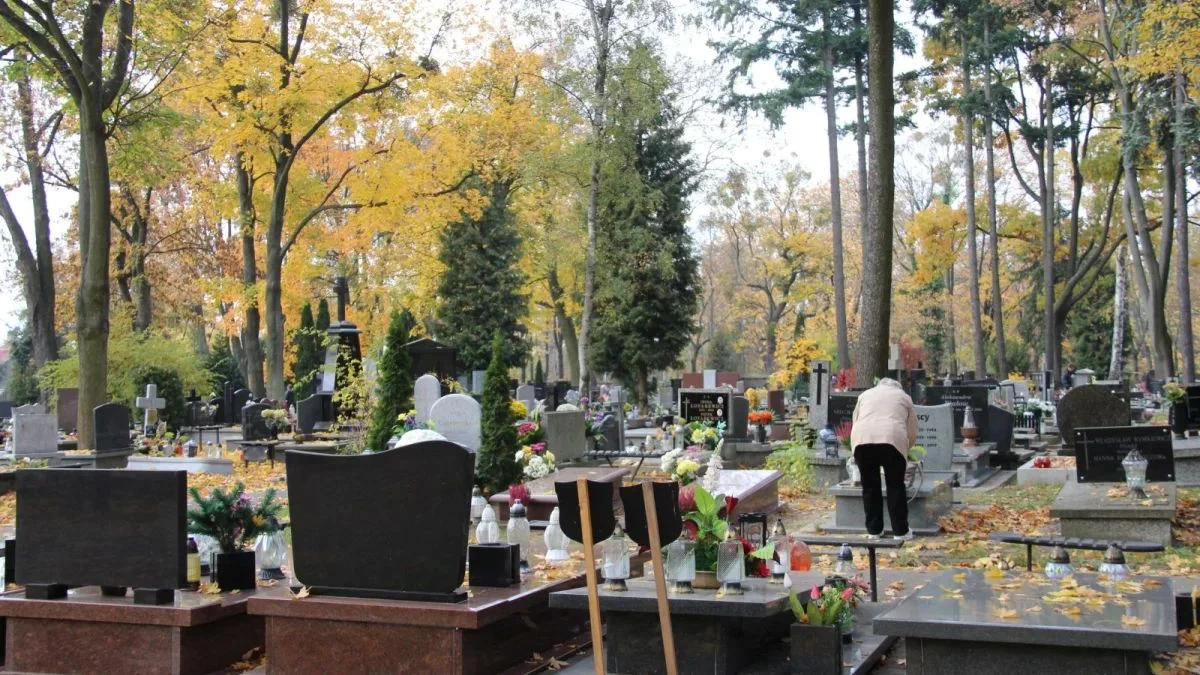 Ponad 160 tys. pochowanych i 42 hektary powierzchni. To największy cmentarz w woj. łódzkim!