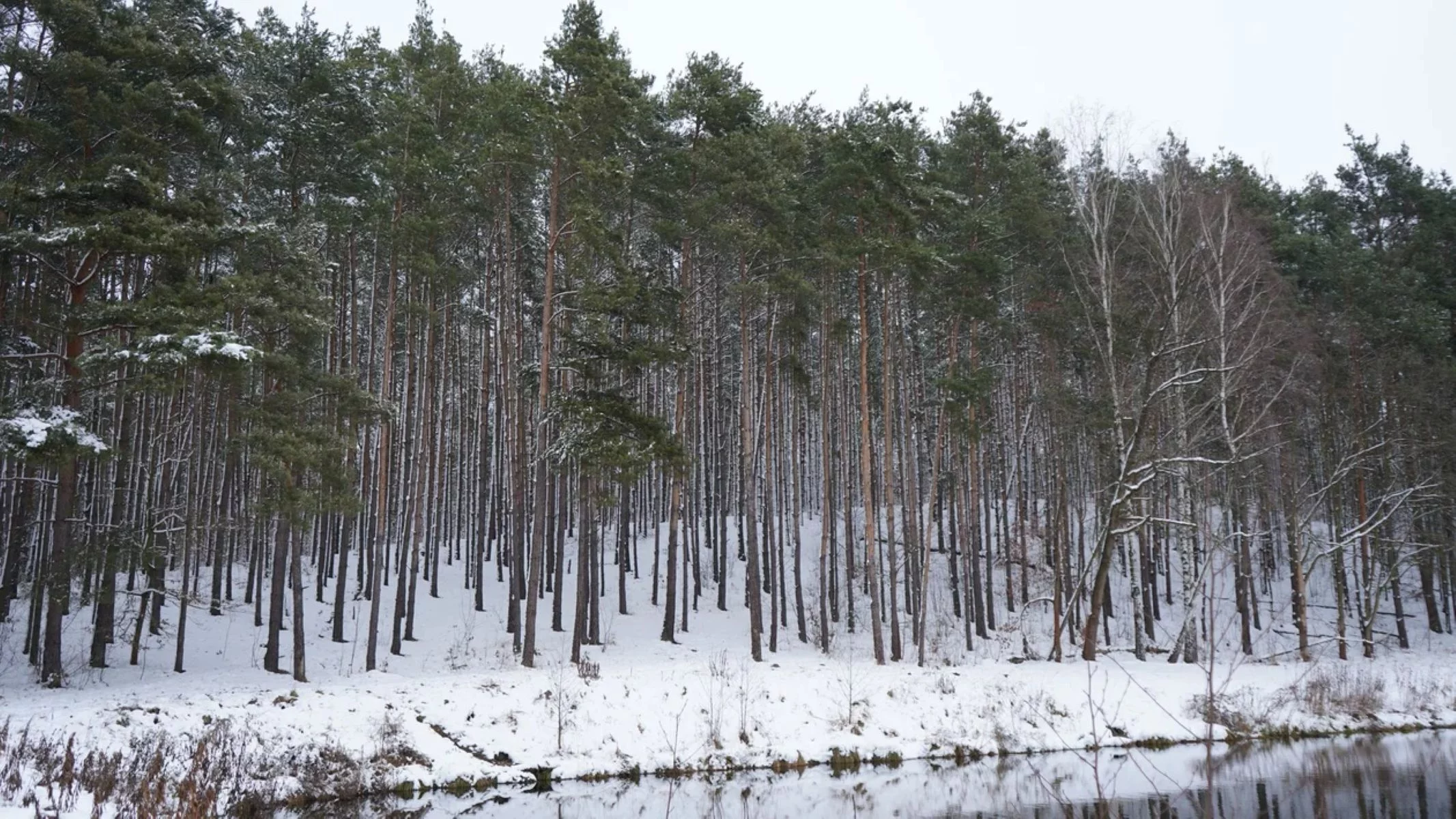 Góry blisko Łodzi. Można tu i spacerować, i pojeździć na rowerze