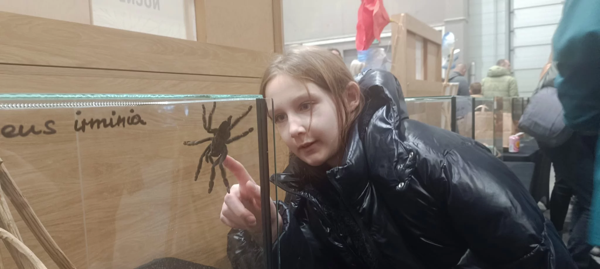 Tłumy, egzotyka i gigantyczny T-Rex. Tak wyglądały Targi Egzotyczne Zwierzęta w Łodzi