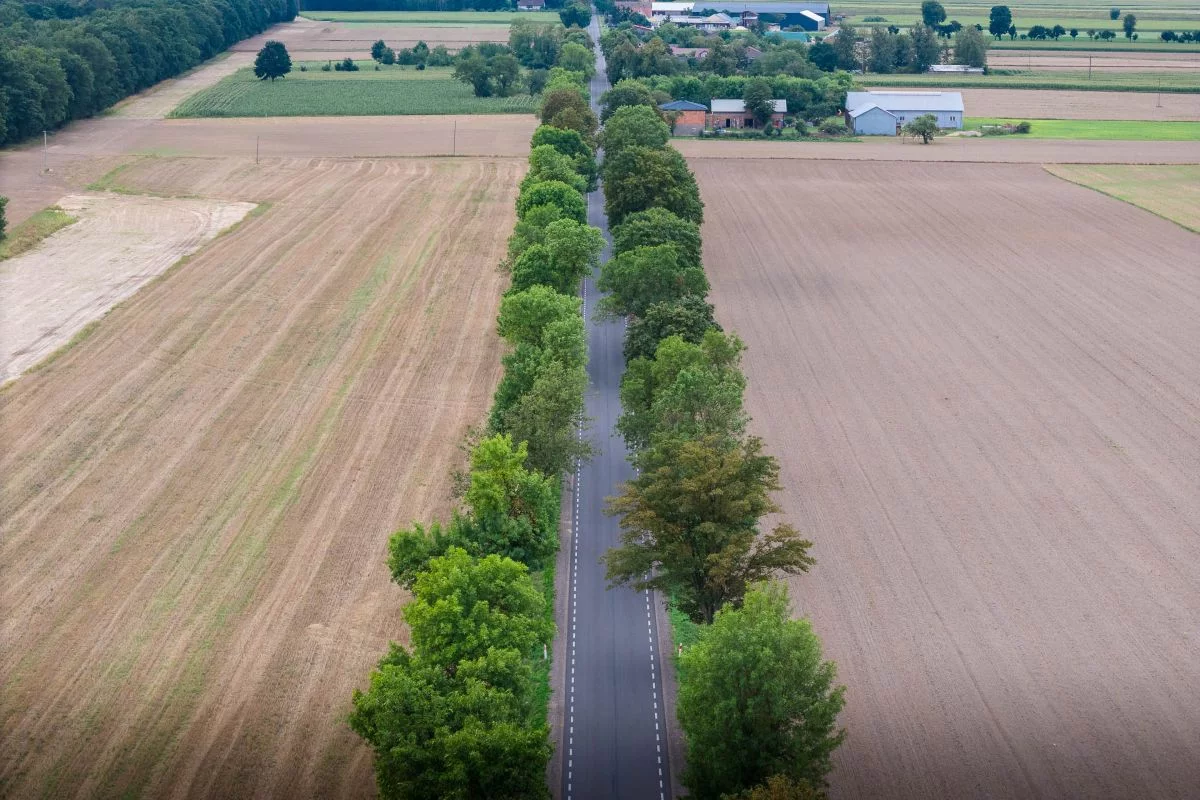 Duże zmiany na drogach w woj. łódzkim. Powstaną nowe trasy i bezpieczniejsze przejścia