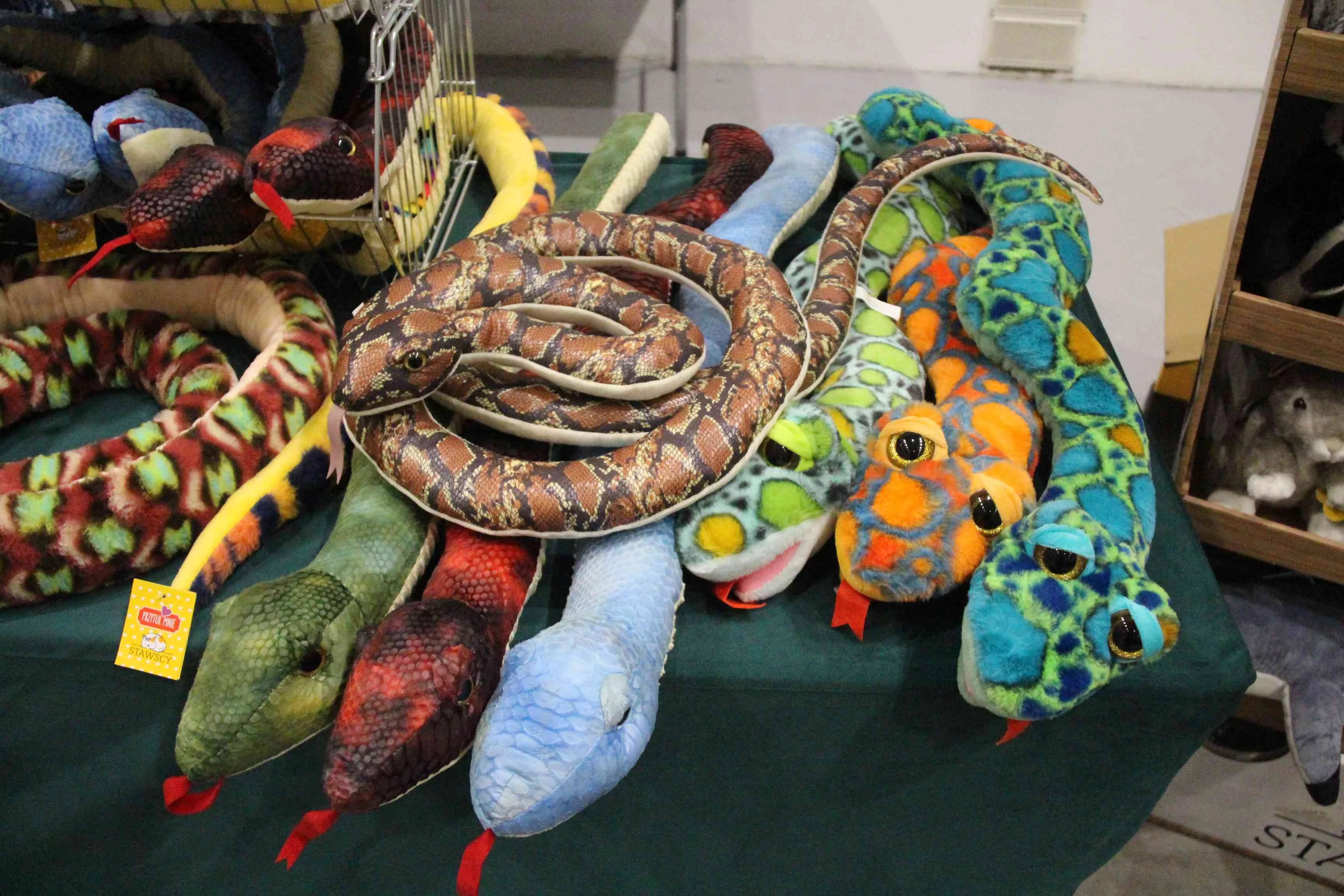 Piknik na Stawach Jana, egzotyczne targi i festiwale, czyli weekend 11 - 12 października w Łodzi i Zgierzu [HARMONOGRAM]