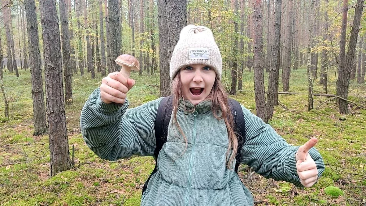 Grzybiarze ruszyli do lasów w woj. łódzkim. Jeden zebrał 140 podgrzybków w niecałe trzy godziny