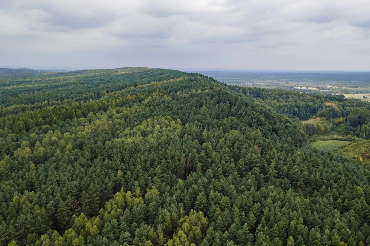 Godzinę drogi od Łodzi jest wielka góra. Turystów jej nazwa bawi do łez