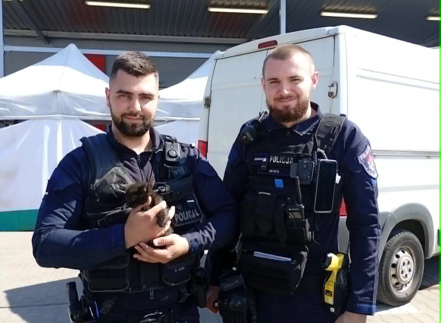 Akcja policji na Rynku Bałuckim. Wszystko przez... kota!